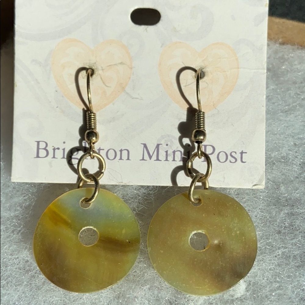🍭6/$30 Medallion earth tone dangle earrings